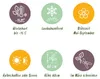 Green boutiQ - Gartenrose - Rosa Tricolor Fairy - Rose - Produktbild-Vorschau 7