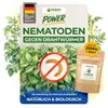 Nematoden gegen Drahtwürmer – 25 Mio. - Effektiv Produktbild-Vorschau 1