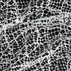 A close-up view of white lace fabric with a black background. Produktbild-Vorschau