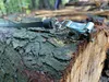 Nastro di misurazione forestale Spencer, lunghezza 20 m Anteprima dell’immagine prodotto 6