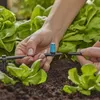 Gardena Kleinflächendüse 13316 Produktbild-Vorschau 4