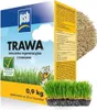 Regeneračné trávne osivo s hnojivom 0,9 kg Náhľad obrázku produktu 1