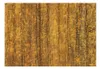 Basera Fototapete Motiv f-A-0446-a-a, Vliestapete, 350x245 Produktbild-Vorschau 2