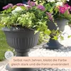 Blumentopf mit Ständer Pflanzenständer Blumenständer Hoch Produktbild-Vorschau 7