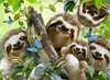 500 Teile Ravensburger Puzzle Faultier Selfie 14790 Produktbild-Vorschau 2