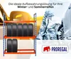 Reifenregal TIGER XL | HxBxT 200x180x45cm | 300kg Fachlast Produktbild-Vorschau 3