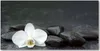 Tulup® Glas-Bild - 100x50 -Wandkunst - Wandbild hinter Produktbild-Vorschau 1