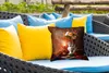 MuchoWow® Outdoor Kissen - Kerze - Geige - Stilleben - Produktbild-Vorschau 4