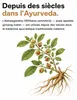 Ashwagandha KSM-66 Capsules Hautement Concentrées - 600 mg Voir les images du produit 5