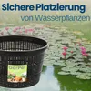 Pflanzkörbe 35 x 35 cm Körbe Wasserpflanzen Teichpflanzkorb Produktbild-Vorschau 3