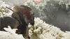 PS4 Ghost of Tsushima Produktbild-Vorschau 10