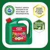 Substral Kübel- und Balkonpflanzen-Nahrung - 2 Liter Produktbild-Vorschau 9