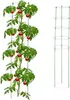 Podpěra pro rostliny 150 cm, sada 2 ks Náhled obrázku produktu 1