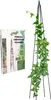 A garden pergola pyramid with a plant growing on it, next to its packaging. Náhľad obrázku produktu