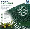Rete Antispina Raccolta Olive 8x12 MT in PE Anteprima dell’immagine prodotto 4