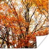 MuchoWow® Poster Wald - Herbst - Jahreszeiten 50x50 cm - Produktbild-Vorschau 1