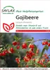 Artikelbild 1 von 'Gojibeere' aus der Kategorie Beerensamen Náhľad obrázku produktu