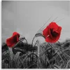 Leinwandbild rote mohnblumen und getreide 60x60 cm Feeby Produktbild-Vorschau 3