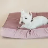 Kentucky Dogwear Hundekissen Velvet Produktbild-Vorschau 4