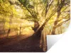 MuchoWow® Wandtattoo Wandsticker Wandaufkleber Baum - Wald Produktbild-Vorschau 1