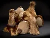 sigikid 39629 - Luri Laluri BeastsTown Produktbild-Vorschau 7