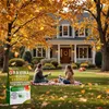 Semi da prato EcoDeco 5 kg per 200 m² - Semina autunnale Anteprima dell’immagine prodotto 9