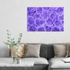 DEQORI Hybrid Leinwand Bild 90x60 cm 'Lila Rosenpracht' Produktbild-Vorschau 3