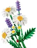 LEGO Botanicals Marguerites – 11508 Voir les images du produit 5