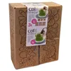 Catit trawa 3 opakowania Podgląd zdjęcia produktu 1