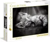Clementoni Puzzle 39422 - Kätzchen (1000 Teile) Produktbild-Vorschau 4