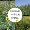 Biobalu Bienenweide - Blumenwiese Samen mehrjährig & Produktbild-Vorschau 10