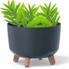 Kwiaton Gracia Standard 30Cm Antracyt Podgląd zdjęcia produktu 11
