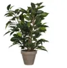Mica Decorations Kunstliche Pflanze Ficus - grun - 40 cm - Produktbild-Vorschau 1