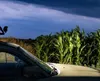 A car parked next to a cornfield at dusk. Anteprima dell’immagine prodotto