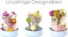 Trockenblumen Set zum Basteln, als Boho Deko und DIY Produktbild-Vorschau 3