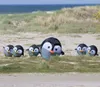 HQ Windspiel Bouncing Birdeez Penguin Produktbild-Vorschau 7