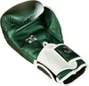 Joyagear Evolution Boxhandschuhe - Grün/Weiß - 14 oz. Produktbild-Vorschau 2