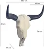 A white bull skull with black horns is displayed against a white background, with measurement annotations. Podgląd zdjęcia produktu