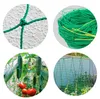 Siatka podporowa do roślin pnących, do pomidorów, ogórków, Podgląd zdjęcia produktu 3