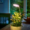 A potted plant with a grow light is placed on a wooden table indoors, with a blurred background of a room and greenery outside. Produktbild-Vorschau