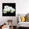 ARTland Poster Weiße Orchidee auf schwarzem Hintergrund Produktbild-Vorschau 5