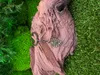 Onwomania Schlüsselanhänger - "Elefant Elefantengott Blatt" Produktbild-Vorschau 4