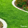 Kalkdünger mit Magnesium (5 kg - Für 100 m2)- Organifer Produktbild-Vorschau 6