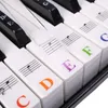Piano Stickers - Keyboard Stickers - Eenvoudig Muzieknoten Productafbeelding-voorbeeld 10
