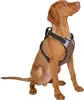 Harnais pour chien Pulsive, marron, 36-50 cm, 46-60cm Voir les images du produit 3