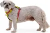 Ruffwear Hi & Light™ Hundegeschirr Produktbild-Vorschau 9
