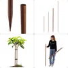 KADAX Holzstäbe 120 cm x 23 mm, 10er Set, Pflanzstäbe aus Produktbild-Vorschau 9
