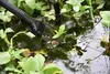 Teichschlammsauger Heissner Teichschlammsauger Produktbild-Vorschau 21