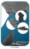 Pietre per acquario, ardesia nera premium 3 kg, rocce Anteprima dell’immagine prodotto 11