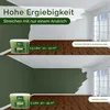 Wandfarbe Grün Dunkelgrün Braun Matt Innenfarbe – Deckkraft Produktbild-Vorschau 6